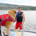【動画】愛犬とウェイクサーフィンセッション